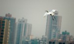 DSC_3450e
