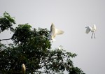 DSC_3456e
