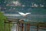 DSC_3467e