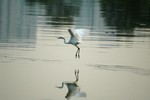 DSC_3475e