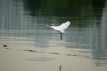 DSC_3476e