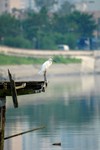 DSC_3488e