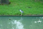 DSC_1020e