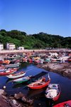Fuji RVP 100 Aug26 26