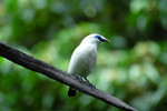 DSC_2614e