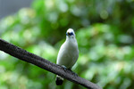 DSC_2616e