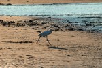 DSC_3101e