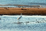 DSC_3106e