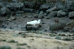 DSC_3116e