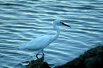 DSC_3119e