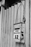 M7 Ilford XP2 400 Mar 2010 32