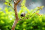 DSC_8082e