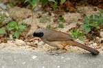 DSC_8116e