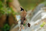 DSC_8202e
