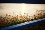 clover_cc_1035219711
