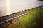 clover_cc_1035219730