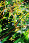 DSC_0401_S