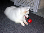 DSCN0552
