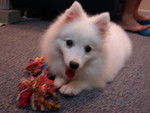 DSCN0559