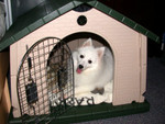 DSCN0582