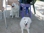 DSCN1054