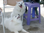 DSCN1056