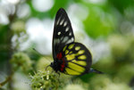 image0002