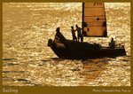 sailing3