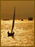 sailing6