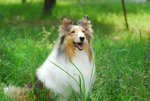 image0007