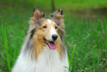 image0008