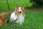 image0009