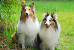 image0014