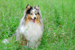 image0022