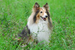 image0026