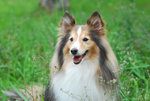 image0033
