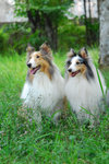 image0039