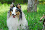 image0044