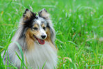 image0054