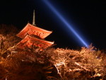 DSCN1454