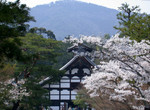 DSCN1501
