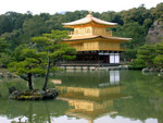 DSCN1528