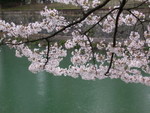 DSCN1614