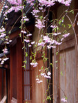 DSCN1692