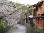 DSCN1698