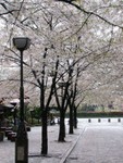 DSCN1703
