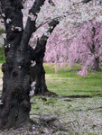 DSCN1776