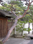 DSCN1778