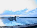 DSCN0246