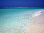 Dscn0279
